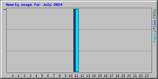 Hourly usage for July 2024