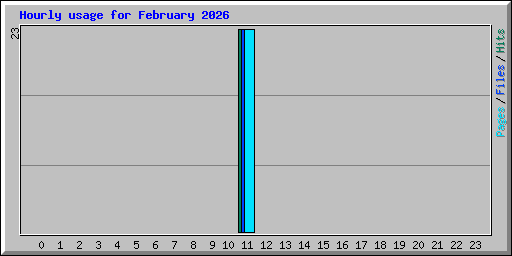 Hourly usage for February 2026
